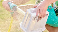 SPINO E1 robotický bazénový vysavač (14)